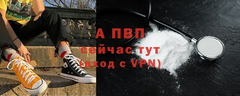 A PVP СК КРИС  Кинель 